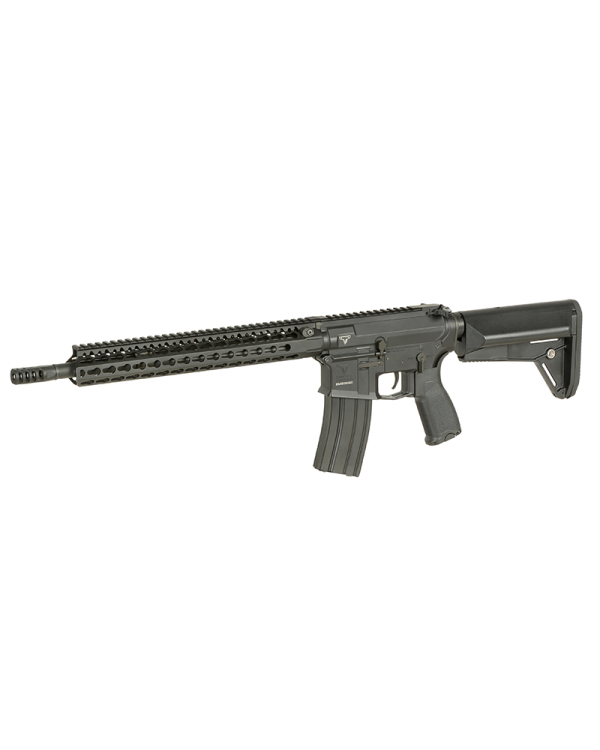 Cyma Platinum TTI JW2 AR15 rifle 25RPS ESHOOTER ETU 3