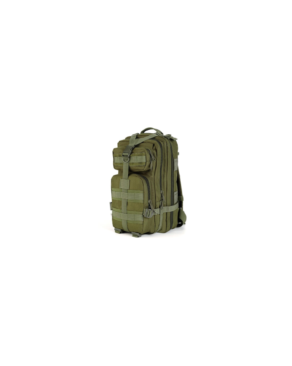 Delta Armory rucsac ASSAULT  20 L Olive