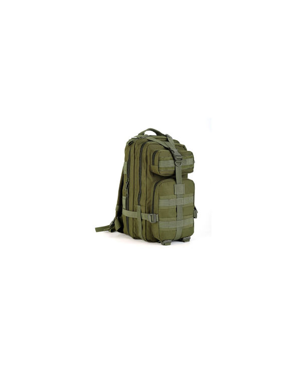 Delta Armory rucsac ASSAULT  20 L Olive 3