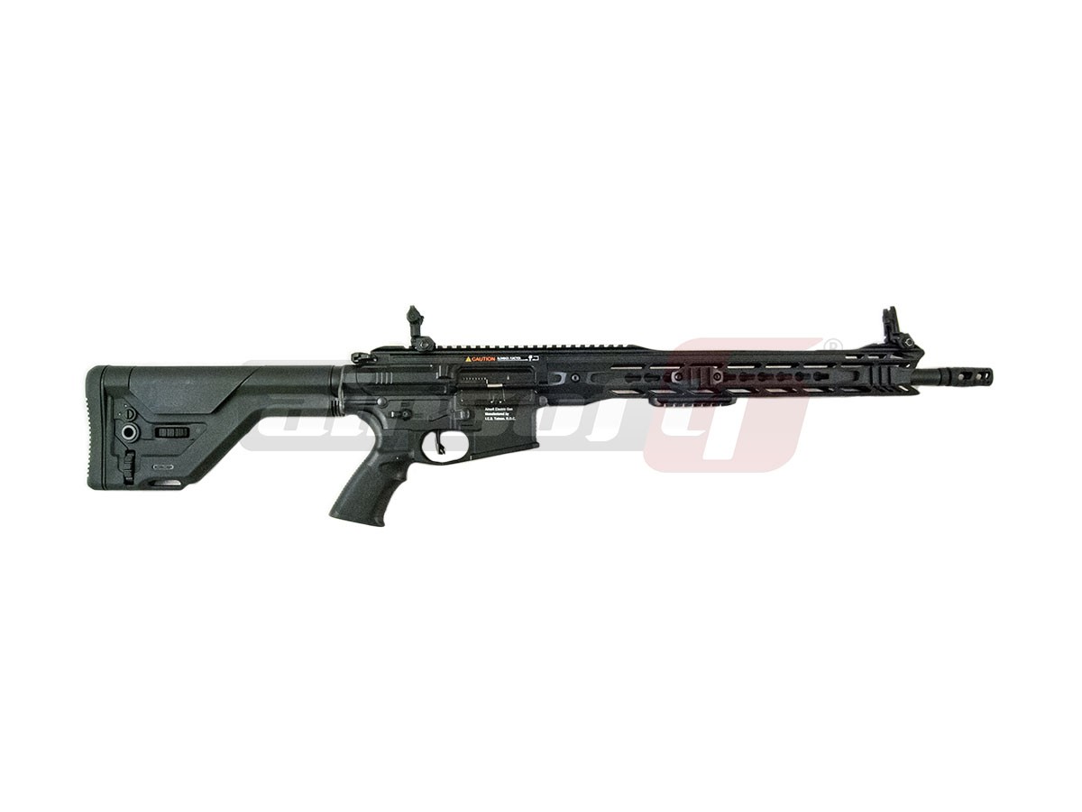 ICS M4 CXP MARS DMR