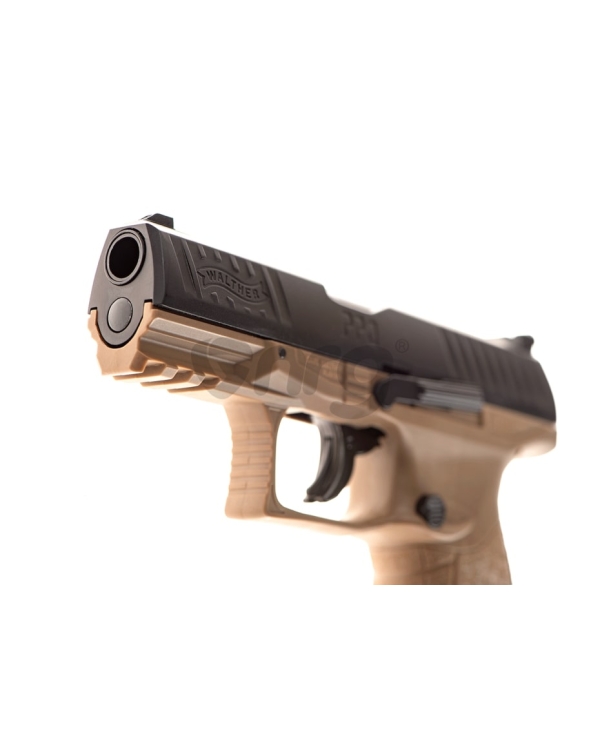 Umarex Walther PPQ M2 T4E .43 cal RAL8000 2